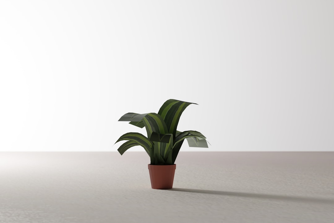 De veronica plant: kleur en leven in elke tuin