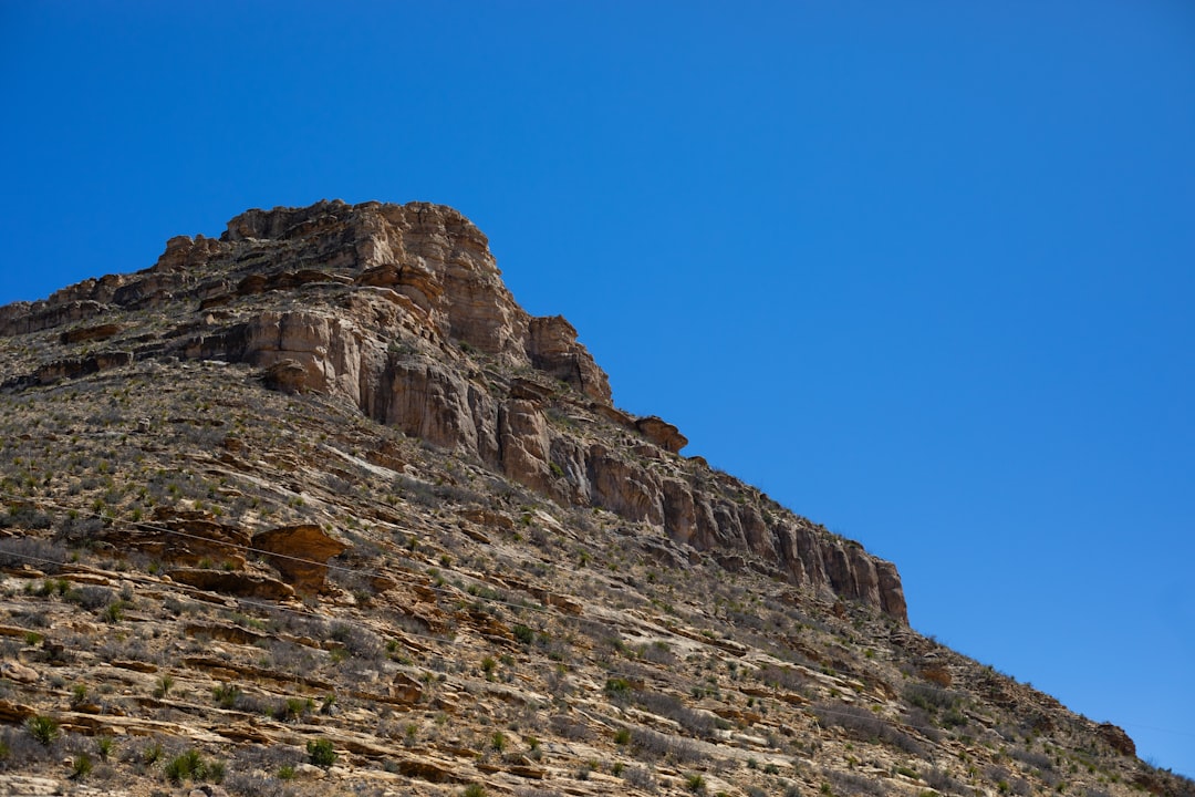 Een wadi tuin: water opvangen én genieten van groen