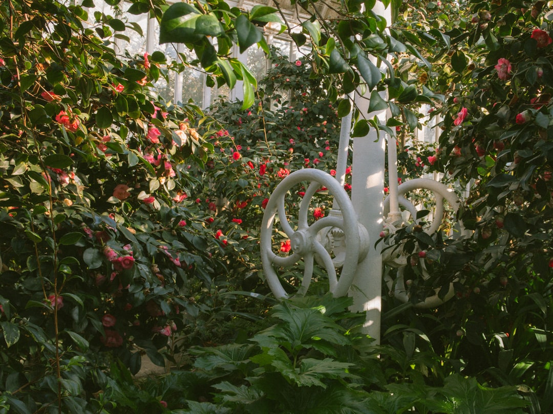 Een schommel in de tuin geeft plezier voor jong en oud