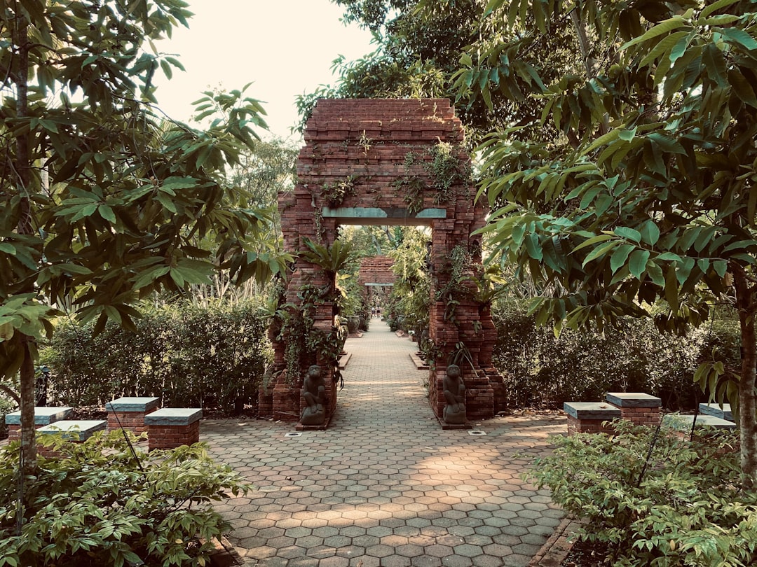 Ontdek de bijzondere wereld van de botanische tuin