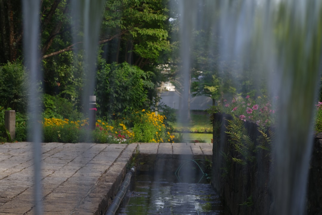 Waterornament tuin: rust en sfeer voor elke buitenruimte