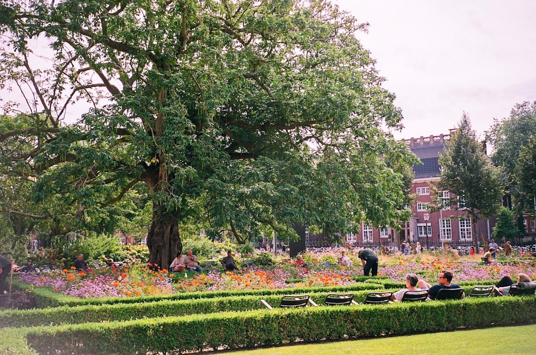 Een groene oase midden in de stad: de Botanische tuin van Antwerpen