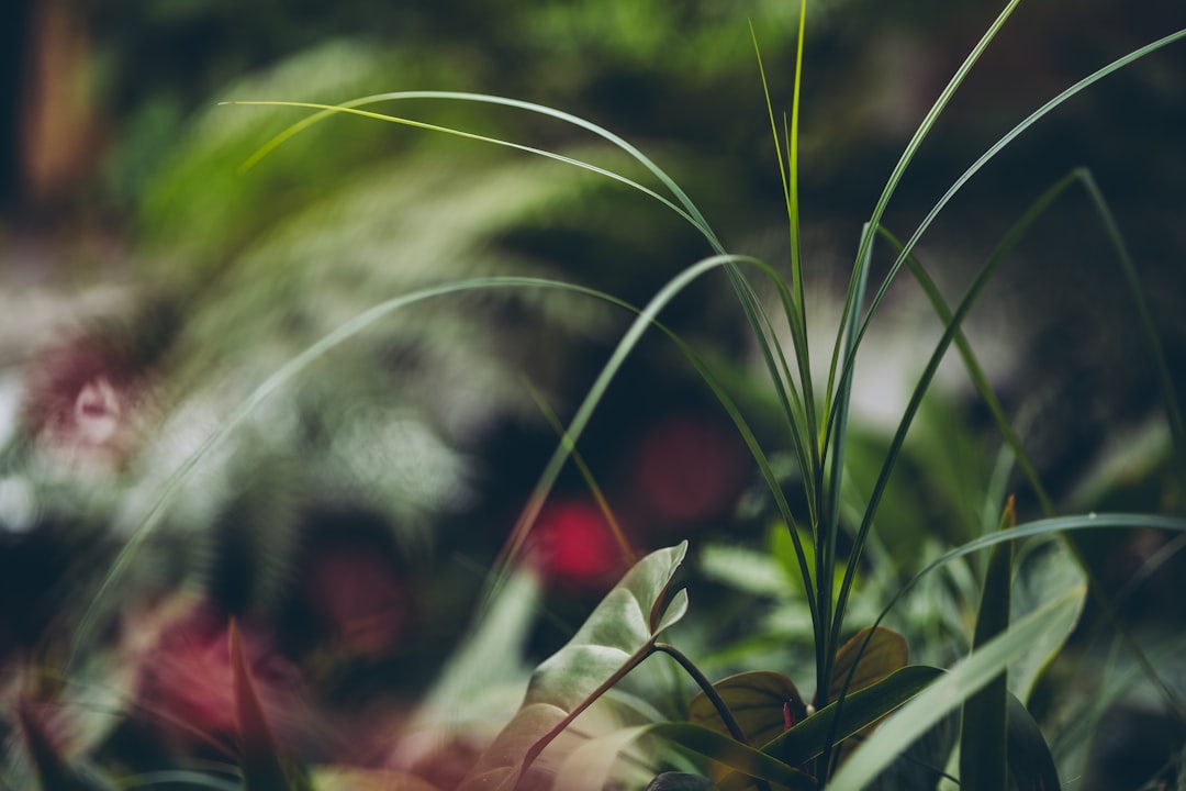 Altijd een groene tuin met een goed sproeisysteem