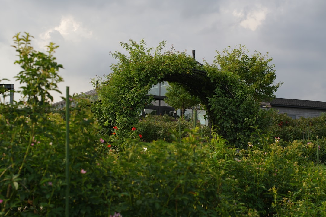 Jouw fietsen veilig en droog met een fietsenstalling in de tuin