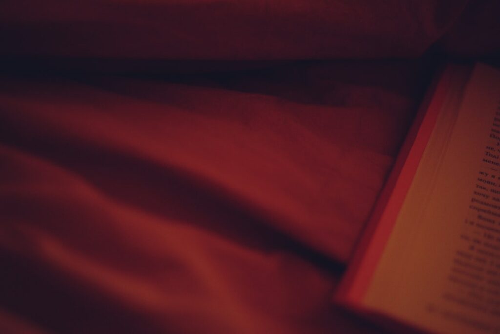 Warmte en hoop: de betekenis van het roodborstje