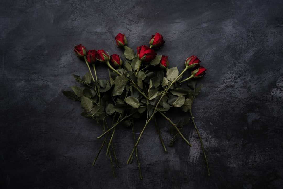 De nieuwe liefde in het leven van Michael van Gerwen